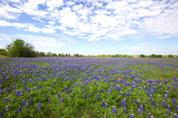 Insurance Claim Hero: Waco’s Trusted Ally in Public Adjusting